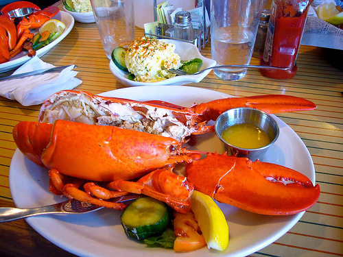 Want Lobster? Here Are TheTop Spots to Get It